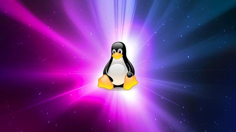 Read more about the article Linux Essentials: A Practical Approach for Beginners