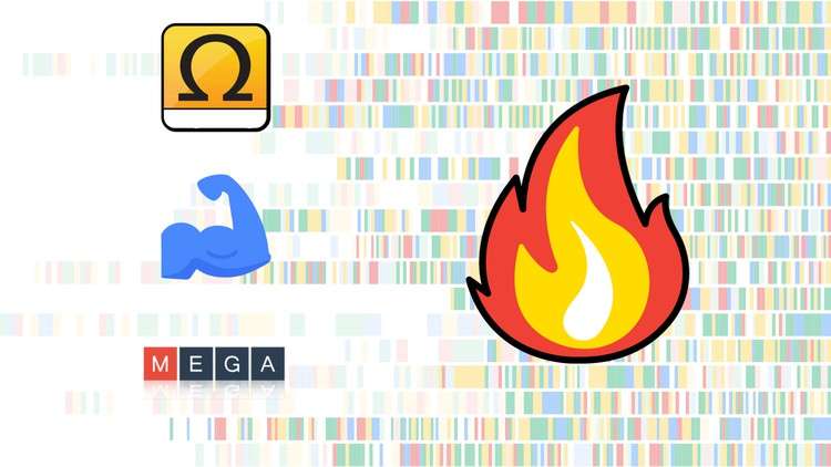 Sequence Alignment Made Simple for Research: A Quick Guide