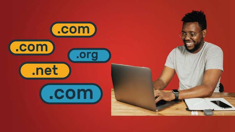 Read more about the article Domains to Dollars 101: A Beginner’s Guide to Domain Trading