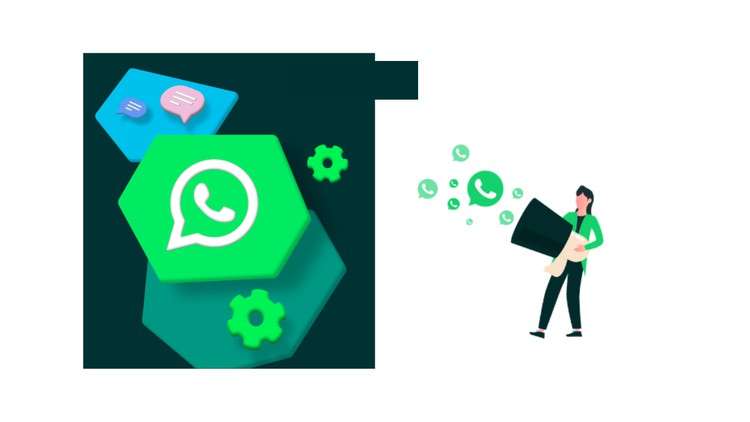 Whatsapp Automation & No Code Chatbots : For Beginners