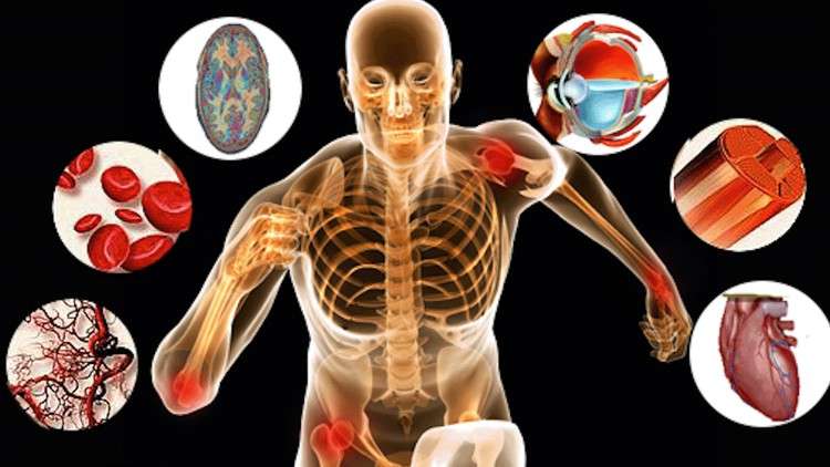 Human Medical Physiology - A free course