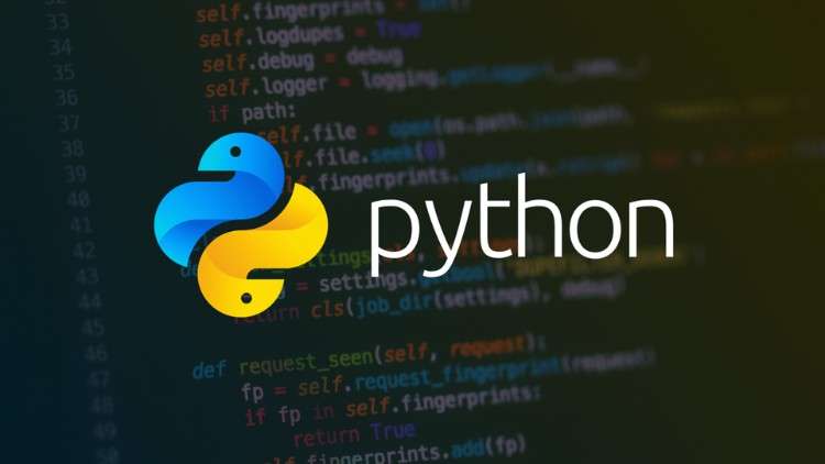 Read more about the article Beginner’s Guide to Learn Python Programming Language