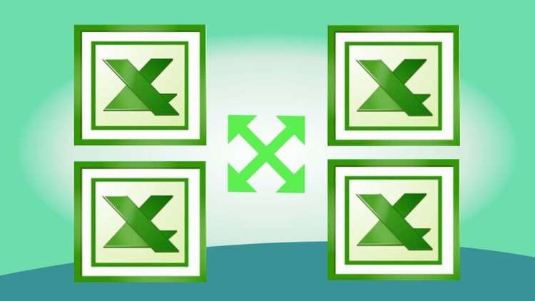 MS Excel (Beginners & Advanced): Fast Track Training