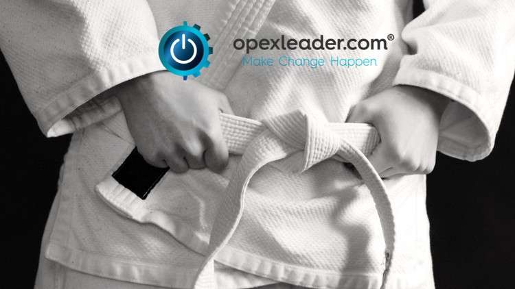 Read more about the article Six Sigma: Lean Six Sigma White Belt (CSSC Accredited)