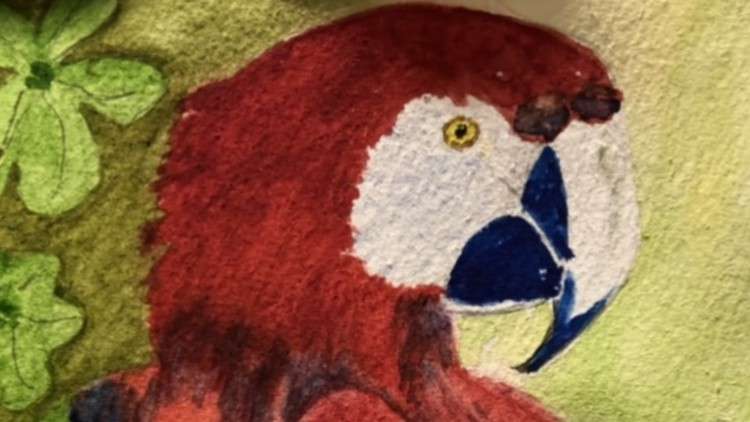 Read more about the article Animal-Inspired Art Therapy: Find Wellness