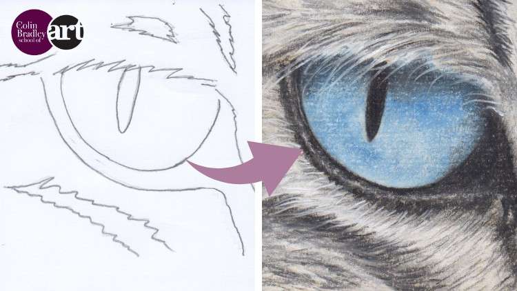 Read more about the article Draw a Stunning Cat's Eye using Pastel Pencils
