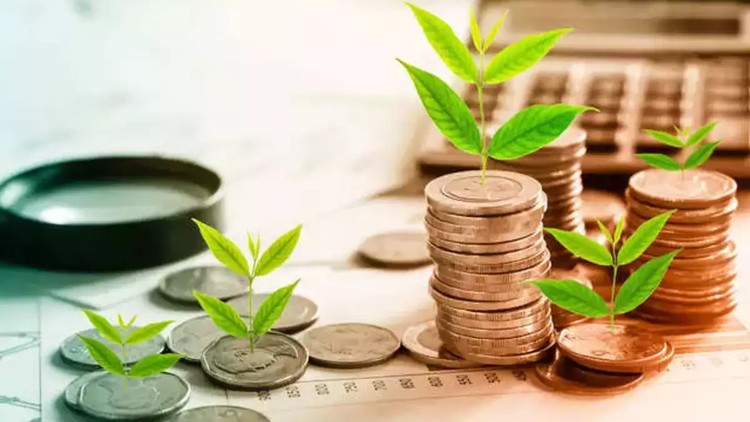 Read more about the article Basics of Mutual Fund