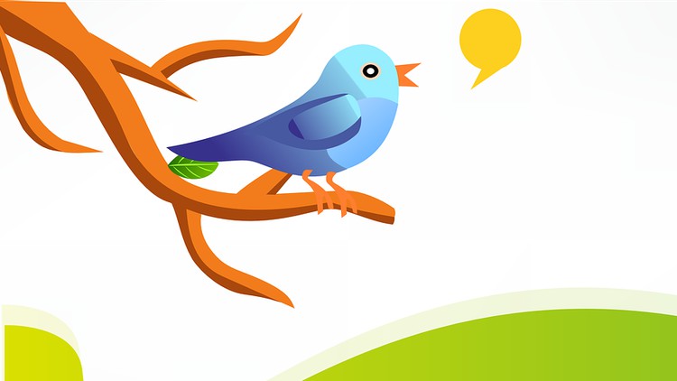 Read more about the article How to Tweet for Beginners