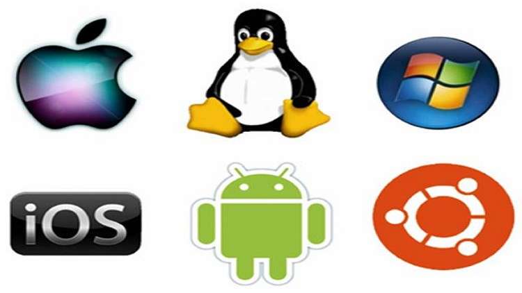 Read more about the article Operating System Fundamentals