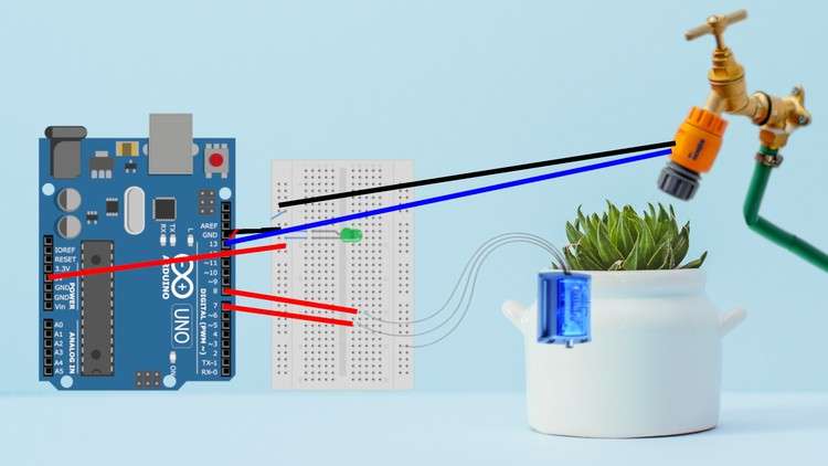 Read more about the article Automatic Irrigation System with Arduino