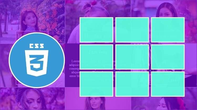 Read more about the article Create Interactive Portfolio Grid using CSS and HTML
