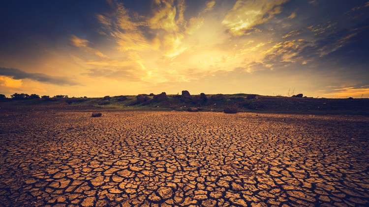 Read more about the article Dealing with Drought