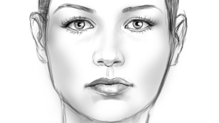 Read more about the article Foundation for Digitally Sketching a Face