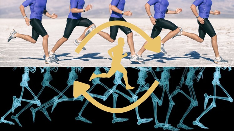 Gait Cycle: Understand The Biomechanics Of Walking & Running