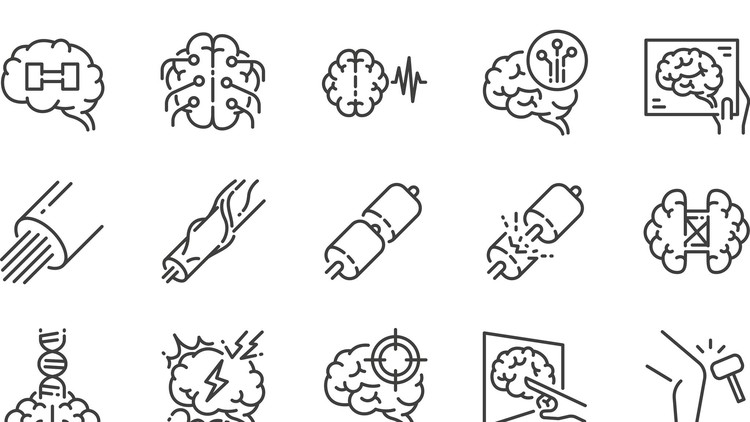 Read more about the article Introduction to Neurological Examination