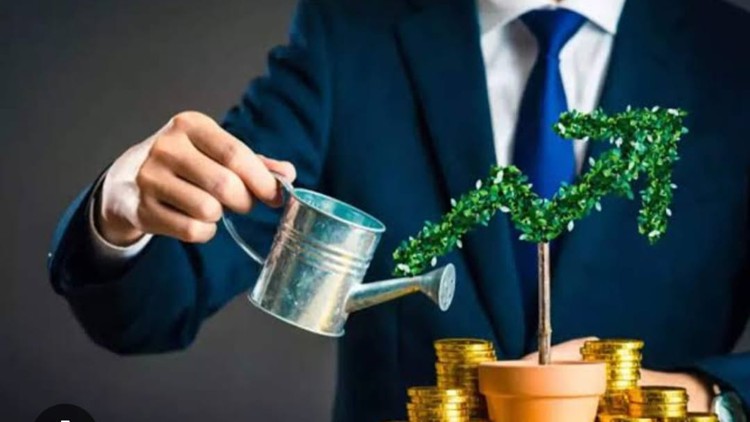 Read more about the article Investment and wealth Management