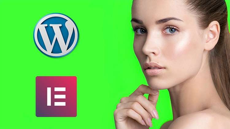 Learn How to MAKE a WordPress Website – PROFESSIONAL