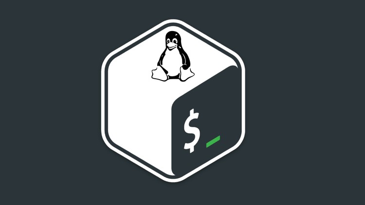 Read more about the article Linux Command Line Made Easy