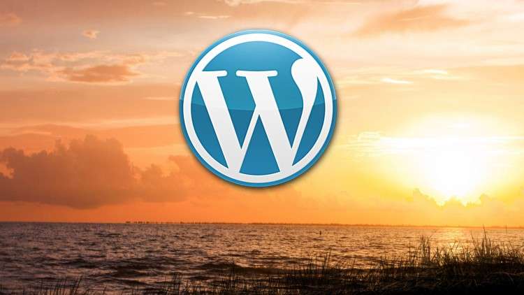 Read more about the article 1-Hour WordPress Basic Tutorial