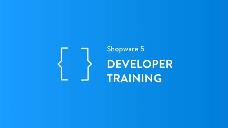 Read more about the article B2B Suite Developer Training English