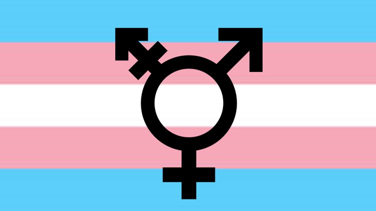 A Beginner's Guide to Trans 101