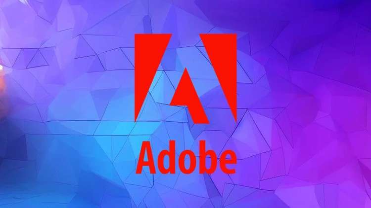 AD0-E501 Adobe Advertising Search Business Practitioner