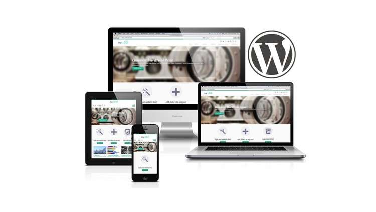 Read more about the article Customizr – Learn WordPress with the ultimate creative theme