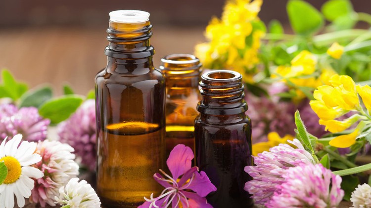 Read more about the article Essential Oils 101