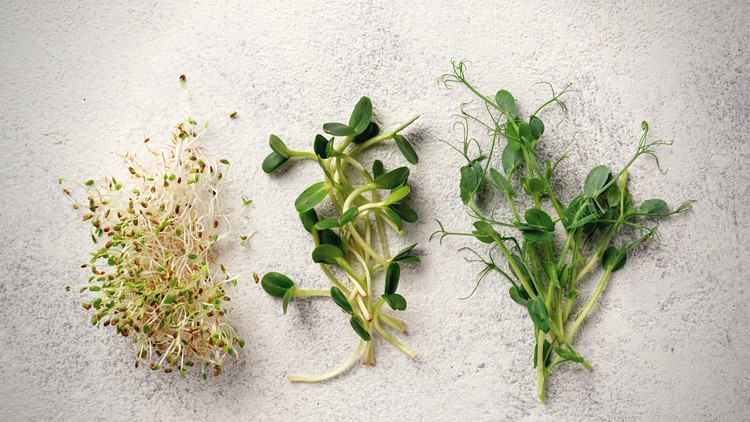 Health Benefits of Sprouts & Microgreens
