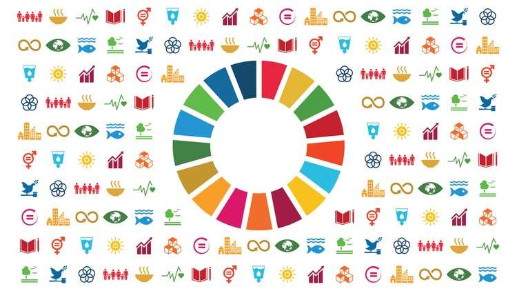 Read more about the article Introduction to Sustainable Development Goals (SDGs)