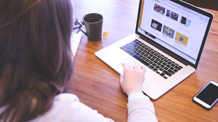 Read more about the article Introduction to web development