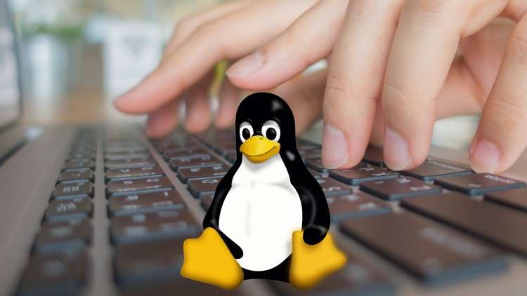 Linux – Shell Bash Commands From Scratch