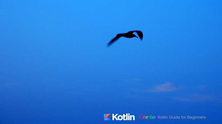 One hour Kotlin guide for beginners