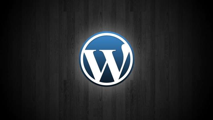 WordPress Basics for Beginners