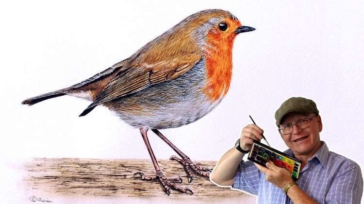 Read more about the article How to Paint a Realistic Robin Bird in Watercolour