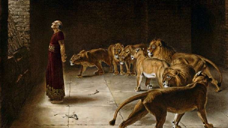 Read more about the article Learn the Book of Daniel