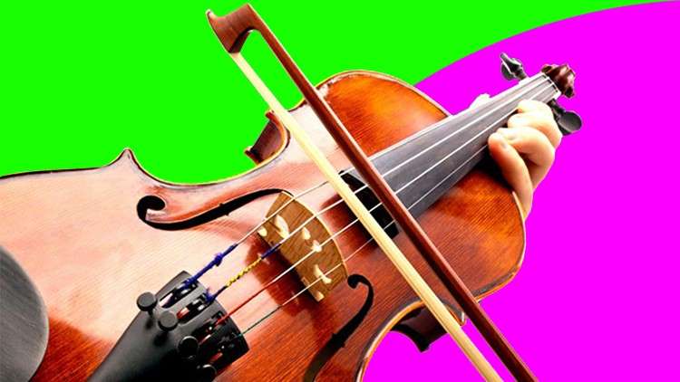 Read more about the article FREE Online Beginner Fiddle Lessons Start Learnin