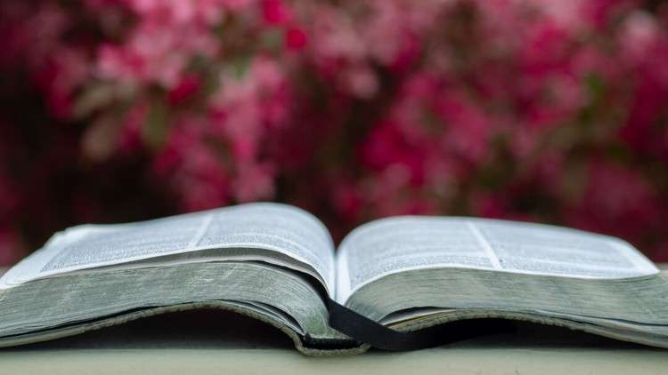 Learning the book of Zephaniah – StudyBullet.com