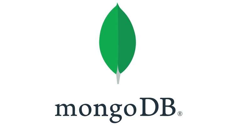 MongoDB beginner guide 2023