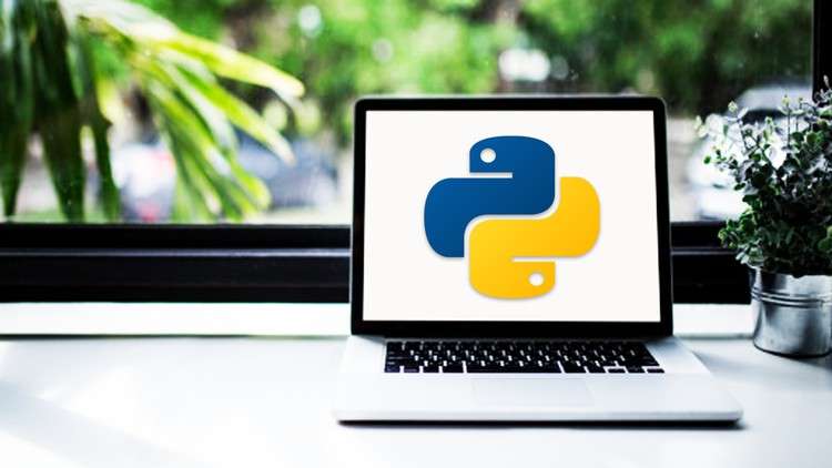 Read more about the article Learn Python from Scratch : Python Programming