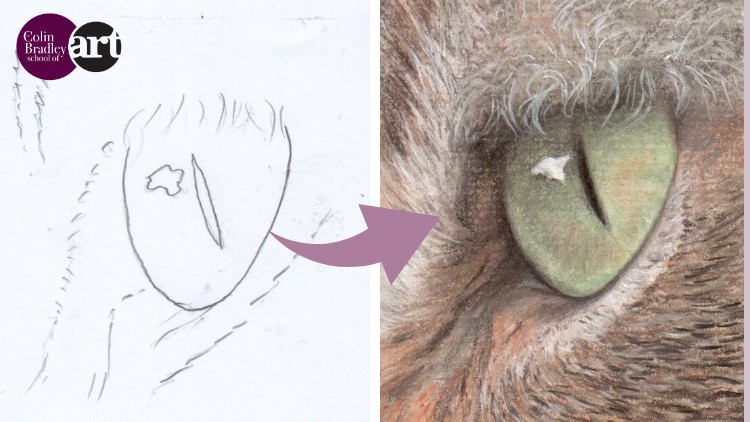 Draw a Realistic Cat's Eye for Beginners with Colin Bradley