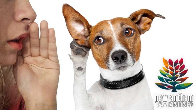 Active Listening Master Course How To Improve Communication