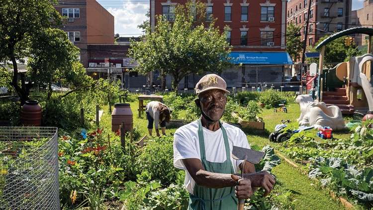 Read more about the article Urban Gardening Mastery – Grow Your Own Food in the City