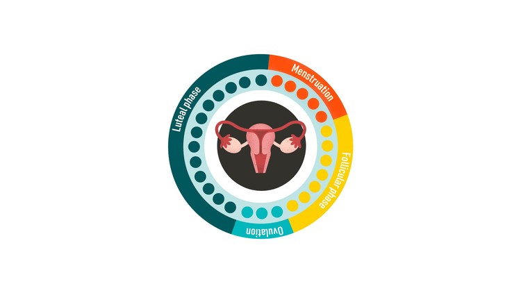 Read more about the article Mastering the Menstrual Cycle for Optimal Well-being