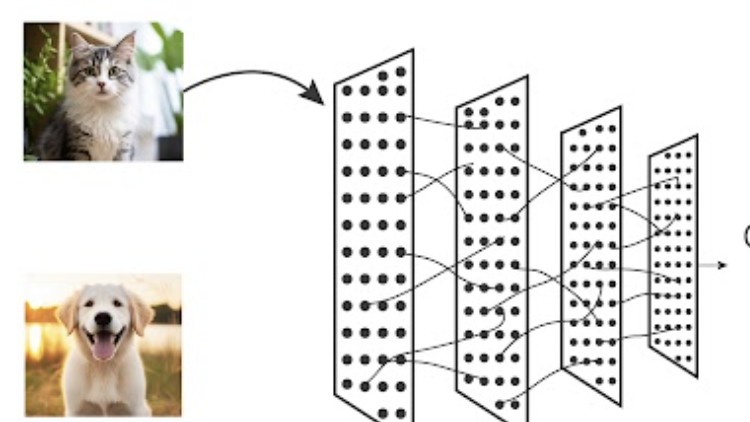 Introduction to Image Classification with Python: A Beginner