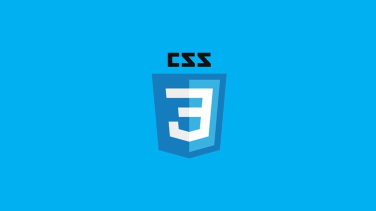 [New] 700+ CSS3 Interview Questions and Practice Tests 2024