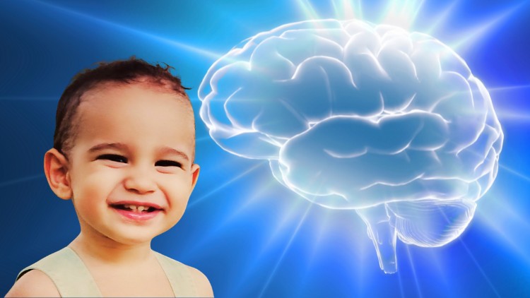 Read more about the article Nutrition and Child Brain Development