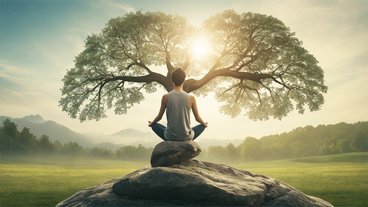 Mindfulness Moments for Everyday Peace