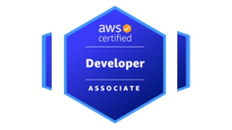 DVA-C02 AWS Certified Developer-Associate Practice Exam