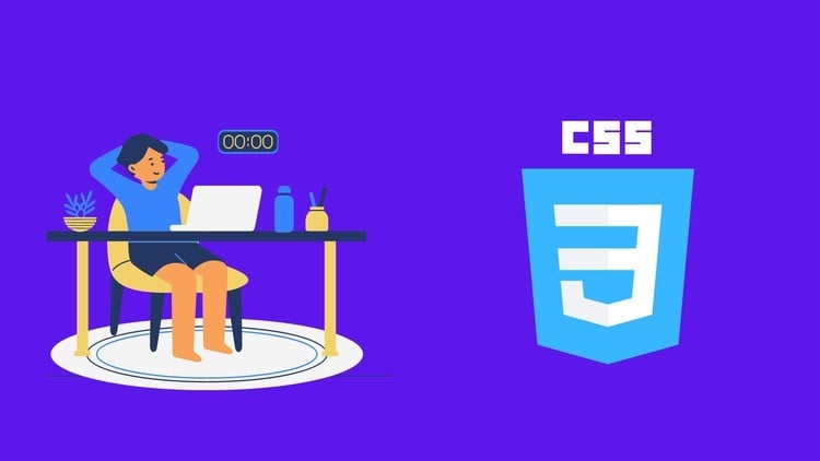 Learn CSS from Scratch : CSS for Beginners 2025